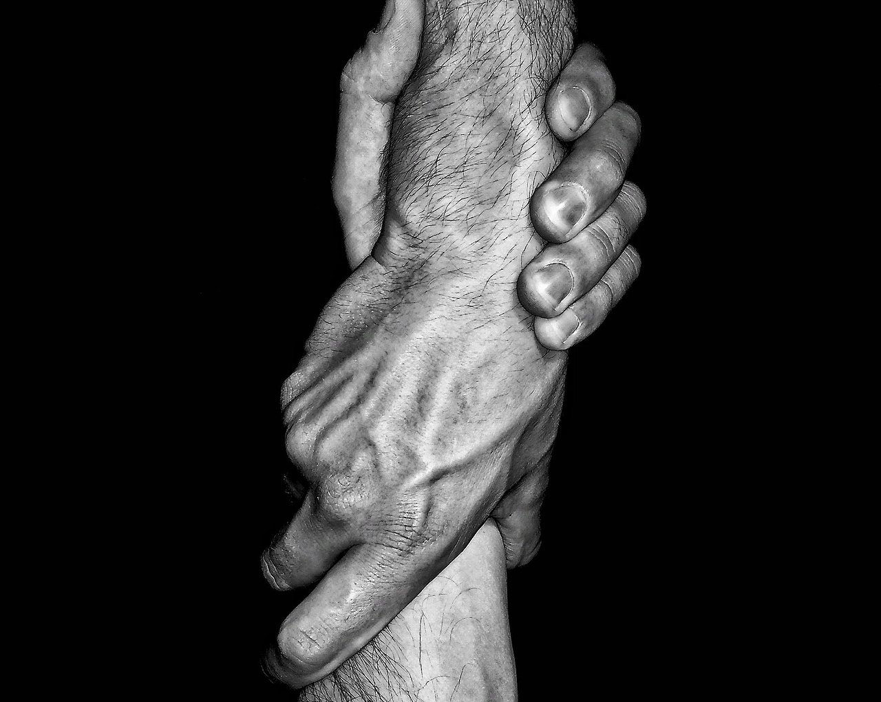 hands, unity, human, people, unity, unity, unity, unity, unity